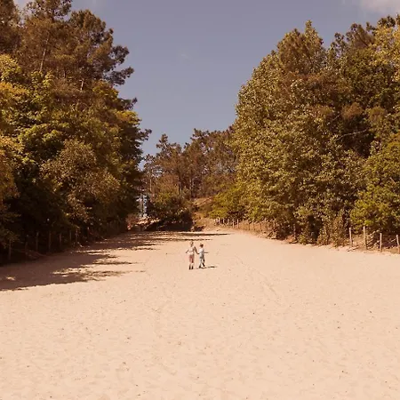 Σπίτι διακοπών Dutchen Park Weideduyn Σχόορλ