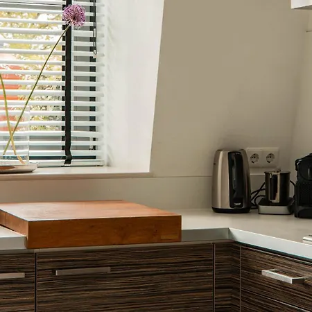 Dutchen Park Weideduyn Casa vacanze *